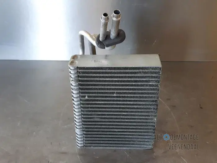 Heating radiator Renault Clio