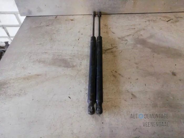 Set of tailgate gas struts Renault Scenic