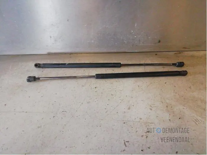 Set of tailgate gas struts Ford Fusion
