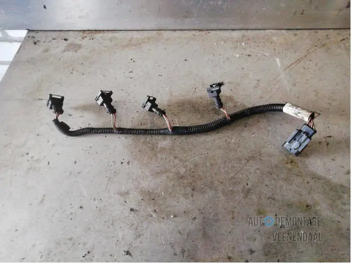 Wiring harness Renault Scenic