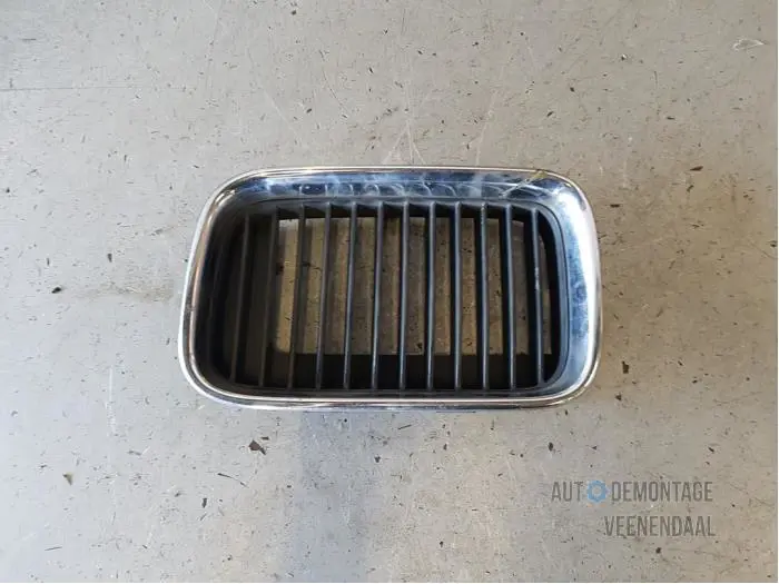 Grill BMW 3-Serie