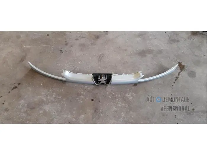 Grill Peugeot 206