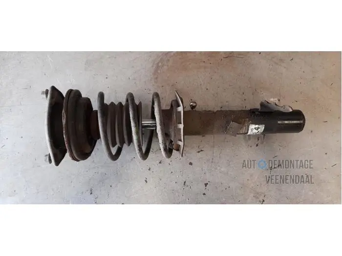 Fronts shock absorber, left Mini ONE
