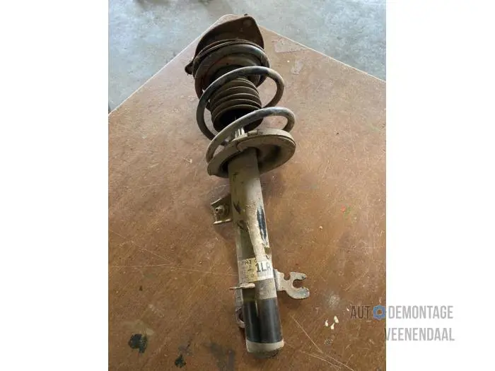 Fronts shock absorber, left Rover Mini