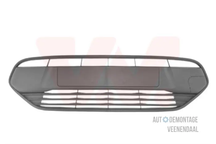 Grill Ford Transit Connect