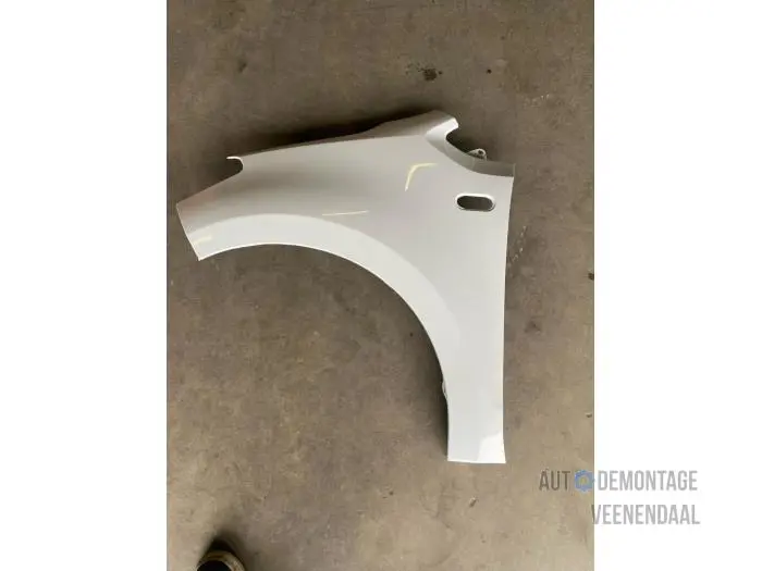Front wing, left Seat Mii