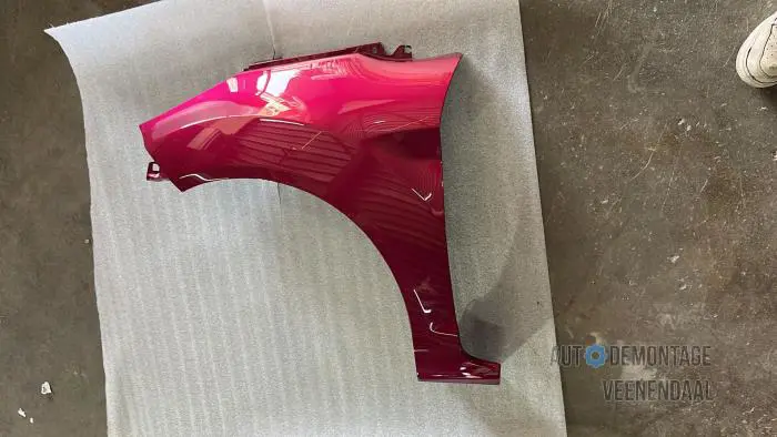 Front wing, left Ford Fiesta