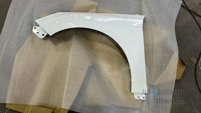 Front wing, left Ford Focus
